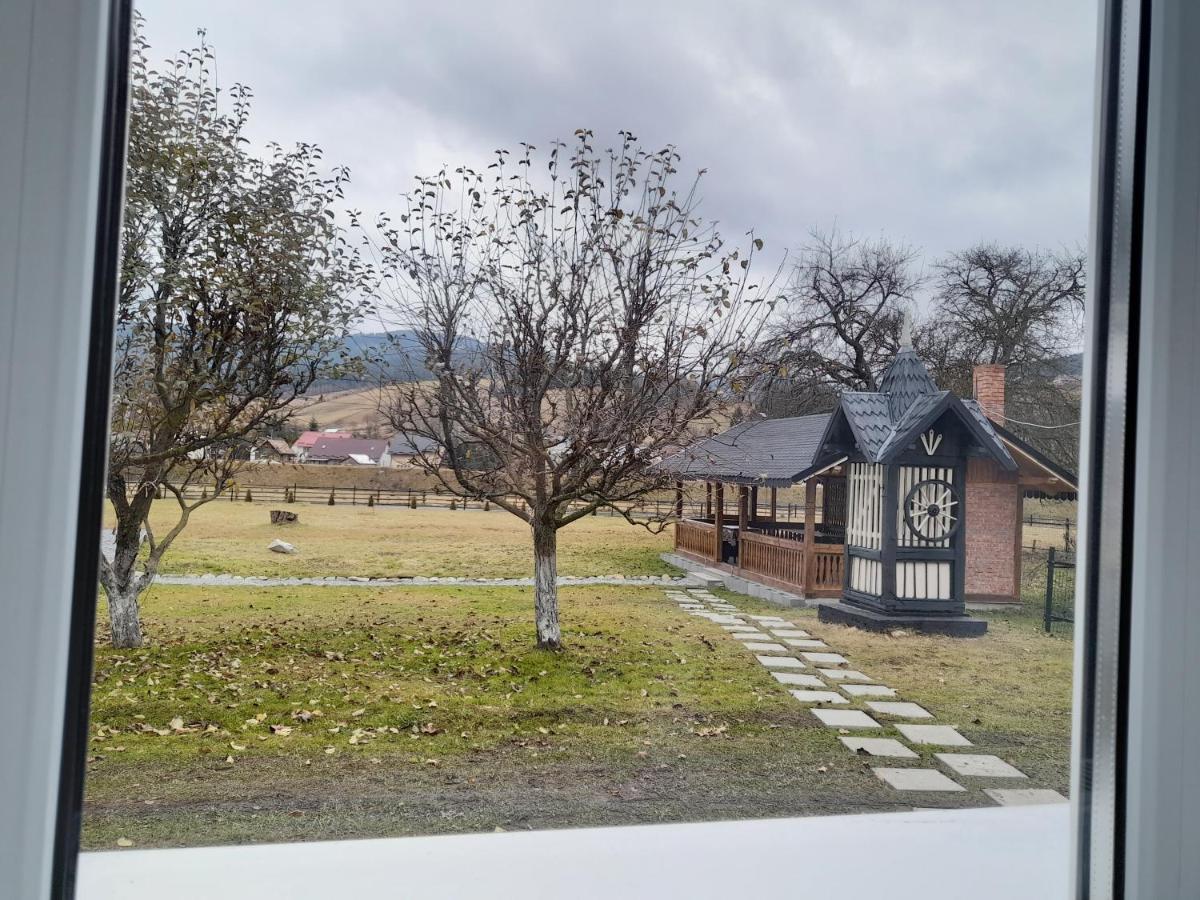 Villa Casa Dumitru si Elena Ciocanesti Exterior foto