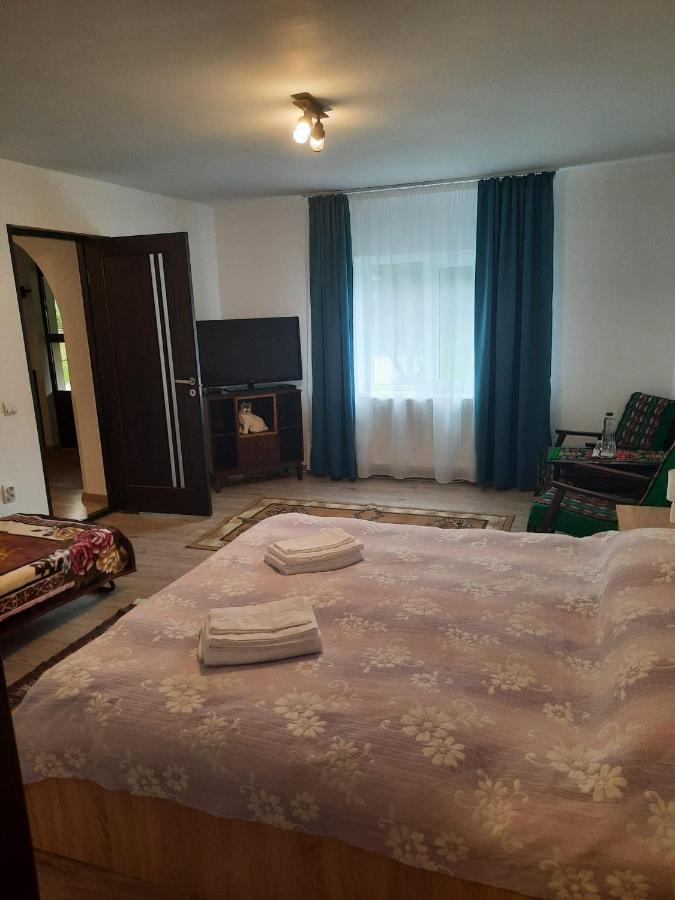 Villa Casa Dumitru si Elena Ciocanesti Exterior foto