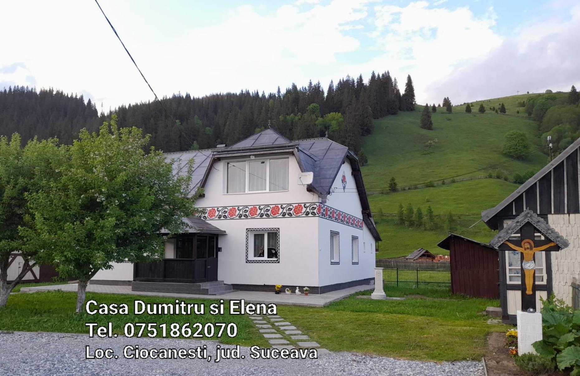 Villa Casa Dumitru si Elena Ciocanesti Habitación foto